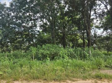 202502210842015156.jpg · Terreno para Venda em Ibirá, Jardim Esplanada