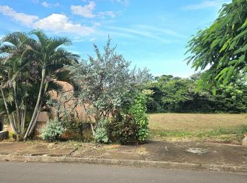 202502210856431372.jpg · Terreno para Venda em Ibirá, Termas de Ibirá