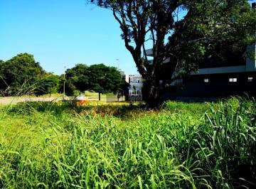 1db0df6931ed.jpg · Lindo Terreno com 701m2 no Amoraeville, Jurerê Internacional