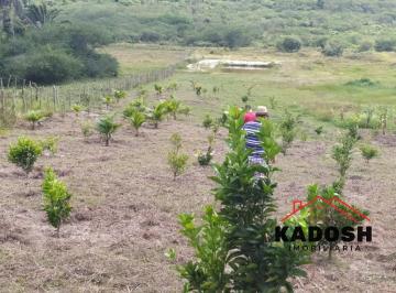 Foto 01 · Terreno à venda em São Gonçalo dos Campos-BA, no bairro São Gonçalo dos Campos, com 4.600,00 m² de á