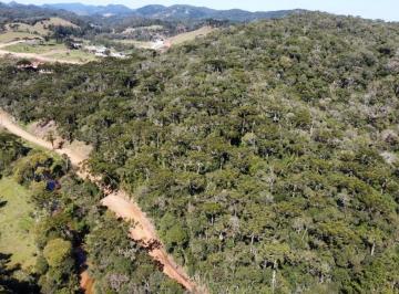 Foto 15 · ÓTIMO TERRENO À VENDA com 4,5hectares, PRÓXIMO ao CENTRO DE RANCHO QUEIMADO/SC
