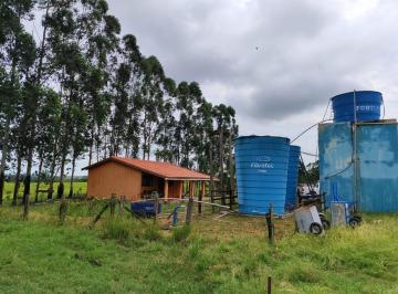 Foto 01 · SÍTIO COM GRANJA A VENDA NA REGIÃO DE TATUÍ-SP ?? ?   Área Total de 21,8 Hectares ou 9 Alqueires    