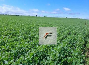 e99bf4b59f0716ee42c1af65e4a32e0d54cc3777 · Fazenda à venda, 4694800 m² por R$ 80.000.000,00 - Zona Rural - Ponta Grossa/PR