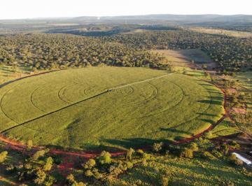 Rural , Curvelo · Fazenda 560 hectares localizada no município de Curvelo/MG