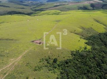 Rural , Tapira · Fazenda rica em água Tapira - MG