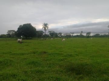 Rural , Batayporã · FAZENDA À VENDA - 629 ALQUEIRES - BATAYPORÃ/MS
