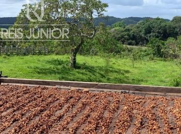 Foto 01 · Fazenda à venda em Ilhéus-BA com 242 hectares!