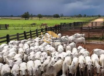 Foto 01 · Fazenda, Centro, Ipiaú, BA