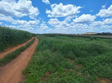 Rural de 3 quartos, Alexânia · FAZENDA IMPERDÍVEL 20.60 Alqueires - 99.704 ha