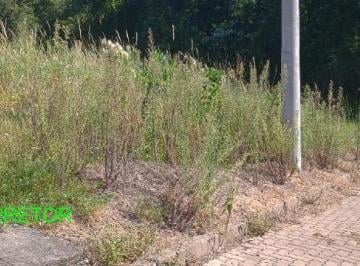 Foto 01 · Terreno, Centro, Pareci Novo, RS