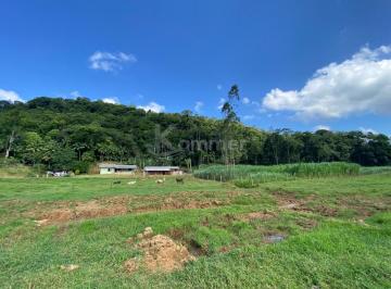 Foto 01 · Sítio a venda em Luiz Alves no Ribeirão Máximo