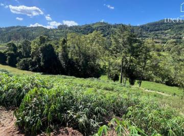Foto 01 · Terreno, São Roque, Feliz, RS