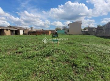 689229_i91wFG2291i86k8q18i4z_68922967bc86ef816b6.jpg · tereno a venda , sao leopoldo