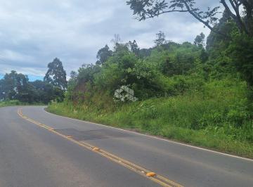 656053_i9A9x41fK_656053674078411e955.jpg · Área de terras com 9.800,00 m2 na serra gaúcha por R$ 900.000,00