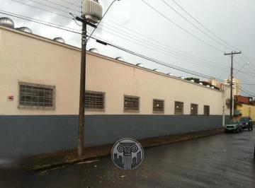 Foto 03 · Oportunidade imperdível: Salão comercial à venda em Campos Elíseos, Ribeirão Preto-SP, com 4 banheir