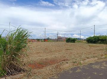 Terreno · 200m² · Terreno Padrão em Uchoa