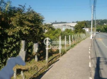 0e4fdc6b992067fb2cf83952cab1bac114d5e029 · Terreno à venda, 3702 m² por R$ 3.500.000,00 - Vila Nova Louveira - Louveira/SP