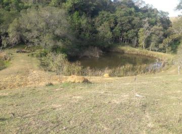 Foto 01 · Sítio 18 Alqueires e Meio, 3 Tanques com Peixe, Nascentes, Casa Sede, 3 Casas Caseiro, Pasto