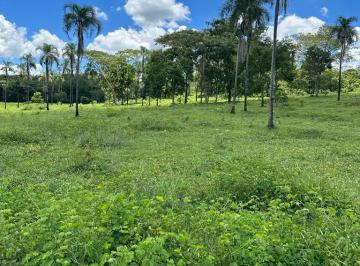 Rural de 4 quartos, Padre Bernardo · VENDO FAZENDA EM PADRE COM 326 ALQUERES P/ 03 SAFRA POR ANO - AC PARCELAMENTO!