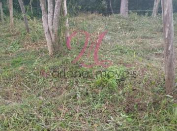 Foto 01 · Terreno, Moinho, Francisco Morato, SP
