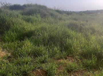 Terreno · 188m² · TERRENO A VENDA JACARANDÁ - CARAPICUÍBA
