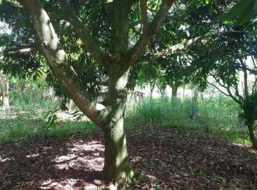 Terreno · TERRENO PARA VENDA EM SANTANA DE PARNAÍBA - CRISTAL PARK III