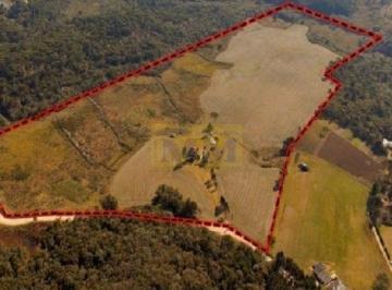 Terreno · 348444m² · Terreno à venda - em Campina Grande do Sul