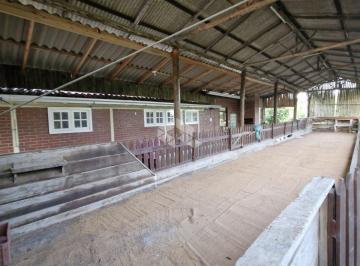 683613_i533L2_68361367bcc422a08e6.jpg · Sitio com 2 casas, 2 galpões 2He - Lami