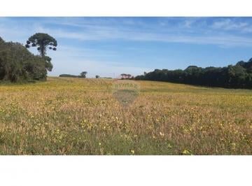 Comercial · 53240m² · Área Comercial/Industrial. Campo Largo da Roseira. São Jose Dos Pinhais