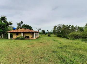 Rural , Porto Feliz · SITIO A VENDA, RODOVIA CASTELO BRANCO, KM 94,5
