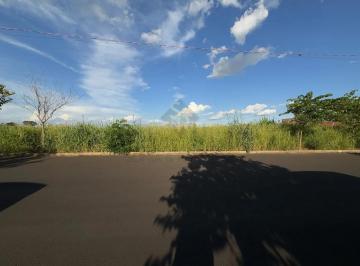 Terreno · 250m² · Terrenos LoteTerreno em Sertãozinho
