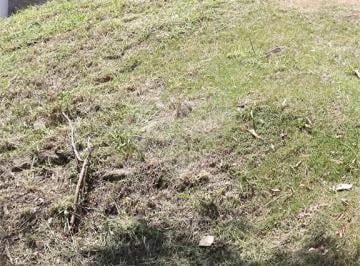 Sem Categoria · Loteamento à venda em Bosque - SP