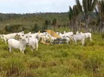 Foto 01 · Fazenda, Mangabinha, Itabuna, BA