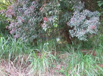 0 · terreno à venda em Parque Rural Fazenda Santa Cândida