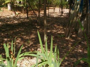 imovel_995_9784.jpg · Fazenda / Sítios / Chácaras com 3 quartos à venda em Esmeraldas, no bairro Cidade Jardim