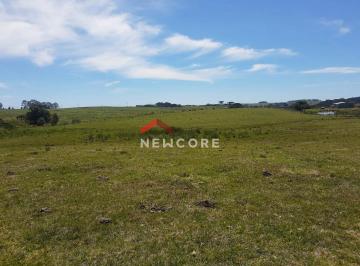Rural · 3100000m² · 2 Quartos · 5 Vagas · Fazenda em  Lageado Grande - Tainhas - São Francisco de Paula/RS