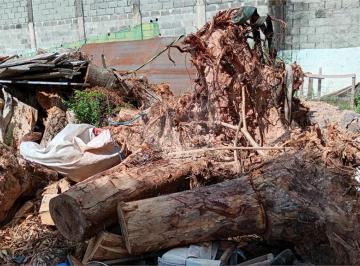 Área de Serviço · Terreno à venda em Vila Palmeiras - SP