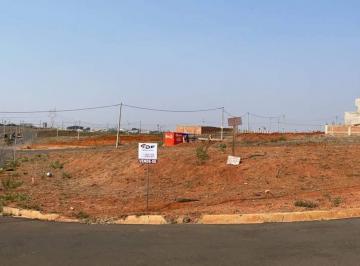 Terreno · 384m² · Terreno Residencial à Venda no Reserva Centenária em Santa Bárbara d'Oeste 