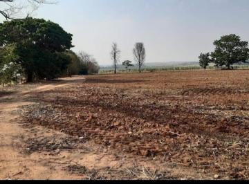 Rural · 79800m² · Chácara à venda na Vila Romi em Santa Bárbara d'Oeste. 