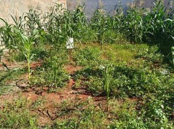 Terreno · 250m² · Terreno à venda no Reserva Centenária em Santa Bárbara d'Oeste.