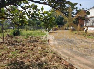 Comercial · 7000m² · Galpão para Venda - Rod. Anhanguera