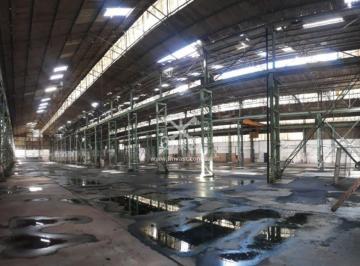 Comercial · 5441m² · Galpão para venda/locação - Cangaíba