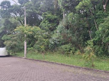 684329_i3H585atd47D_68432967c0a97708c8e.jpg · Terreno com 370,50 m2 em área arborizada residencial na serra gaúcha