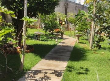 img3 · Casa Padrão em Araraquara