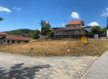 Terreno · 534m² · Terreno de Esquina no Bohmerwald | Projeto Aprovado para 8 Geminados | Oportunidade Abaixo do Valor 