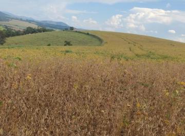Rural de 2 quartos, São Gonçalo do Sapucaí · Ótima fazenda para plantio 