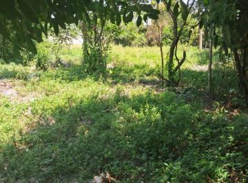 202502281241028973.jpg · Terreno para Venda em Itanhaém, Santa Cruz