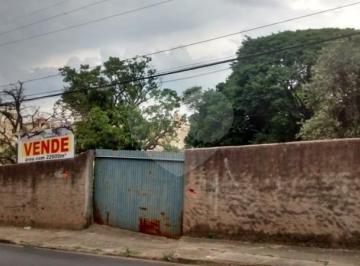 Sem Categoria · Terreno à venda em Vila Odin - SP