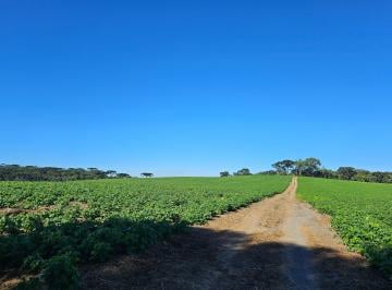 Rural de 2 quartos, Lapa · Sitio 16 alqueires na Lapa/Pr