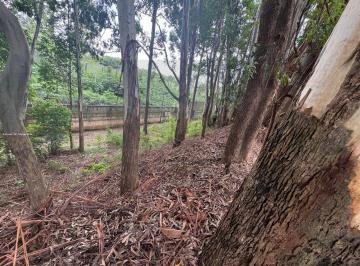 202502061247291002.jpg · Lote para Venda em Barueri, Tamboré
